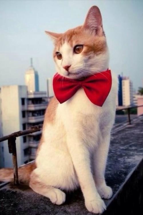 º¼ÖÝÎ÷Ϫ·ÈËÐеÀËúÏÝÏÖ³¡·¢ÏÖ1ÃûʧÁªÈËÔ±