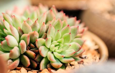 ÍÑÆ¶¹¥¼á|ºÓÄÏ·öƶũ²úÆ·´îÉÏ101¶Ô·þÎñÇø